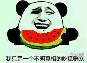我是吃瓜群众负责鼓掌,见证时代风云，共襄盛举鼓掌