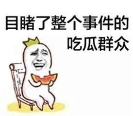 空空河马的吃瓜群众,吃瓜群众的趣味生活