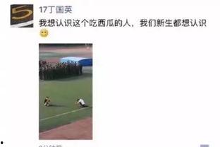 吃瓜群众哈哈哈的歌词是什么,揭秘网络热词背后的狂欢与思考