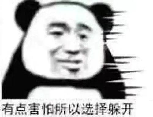 吃瓜群众表情包视频,笑料百出，欢乐无限
