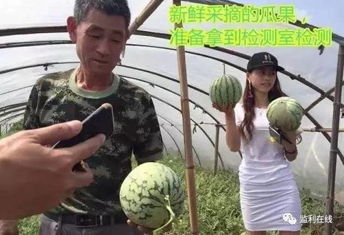 吃瓜群众正在直播,吃瓜群众围观热点事件