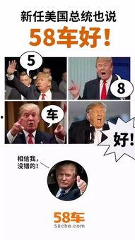 吃瓜群众表情文案搞笑版,笑料横生的表情文案大盘点