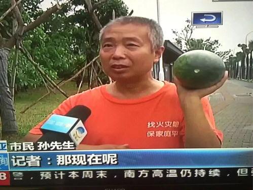 民警吃瓜群众事件视频,网络舆论下的警民互动与反思