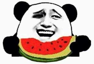 吃瓜群众周某人,吃瓜群众周某人的传奇人生